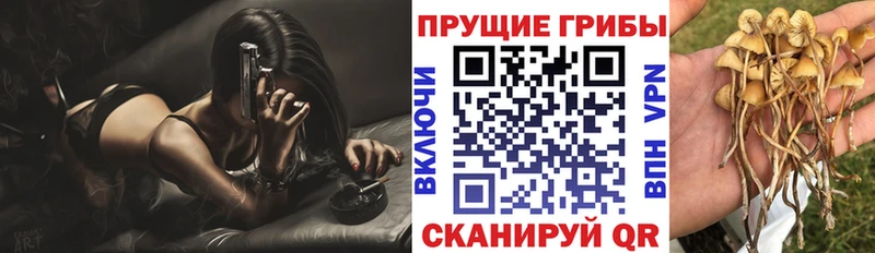 где можно купить наркотик  Вичуга  Галлюциногенные грибы мицелий 