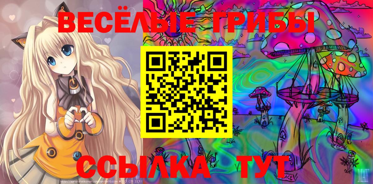 Галлюциногенные грибы GOLDEN TEACHER Вичуга