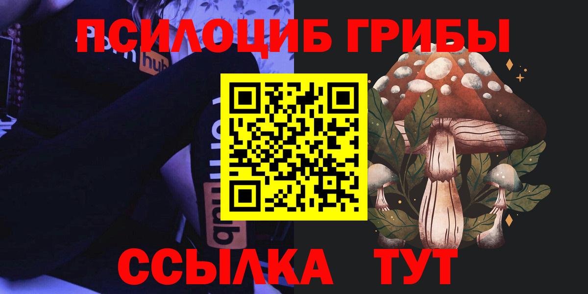 Псилоцибиновые грибы GOLDEN TEACHER  закладки  Вичуга  Вход с VPN 
